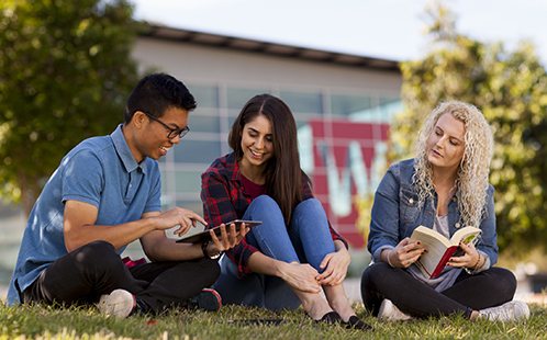 School media preview